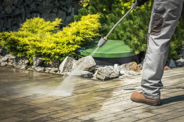 Best House Exterior Washing  in Rockmart, GA